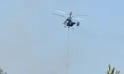 Çanakkale'de zeytinlik alanda çıkan yangın kontrol altına alınıyor