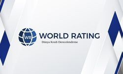 Tera Yatırım’ın Kredi Notları Süresiz Askıya Alındı