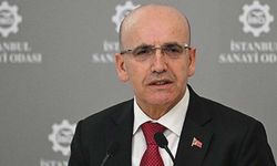 Bakan Şimşek: Bu program geçici heves değildir