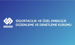 SEDDK, Sigorta ve Reasürans Brokerleri Yönetmeliğinde değişikliğe gitti