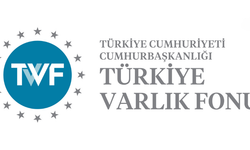 Türkiye Varlık Fonu borçlanma için bankaları yetkilendirdi