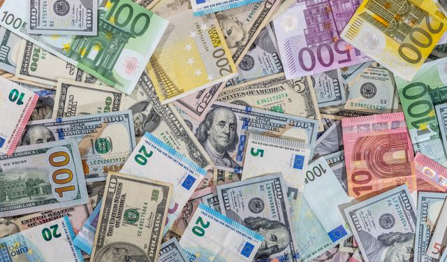 Döviz mevduatları iki ayın en yüksek artışını yaşadı