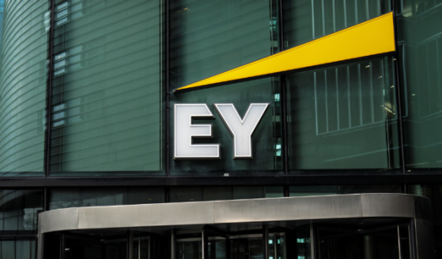 EY: Türkiye'de yabancı yatırımlar yüzde 20 arttı