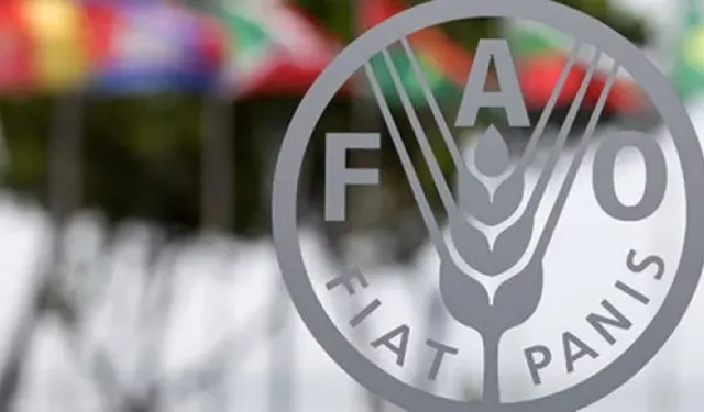 FAO: Dünya Gıda Fiyatları Ocak’ta Beşinci Ay Üst Üste Düştü