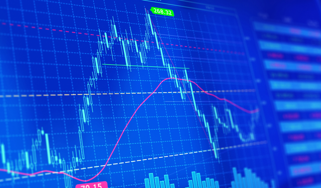 Kasım'da BIST 100'ün En Çok Yükselen ve Düşen Hisseleri