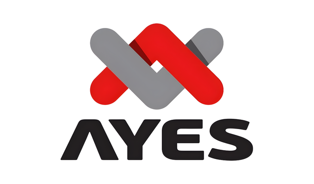 AYES Çelik Ana Pazar'a Geçiş Başvurusu Hazırlığında