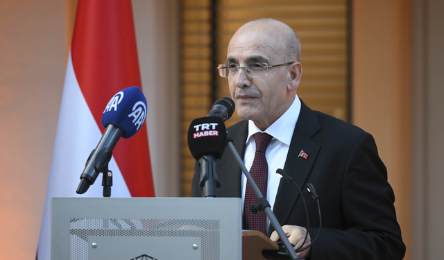 Bakan Şimşek, Hollanda "Kral Günü" resepsiyonunda konuştu