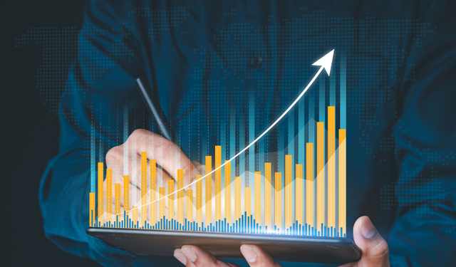 BIST 100'ün En Büyük Şirketleri ve Yıllık Getiriler