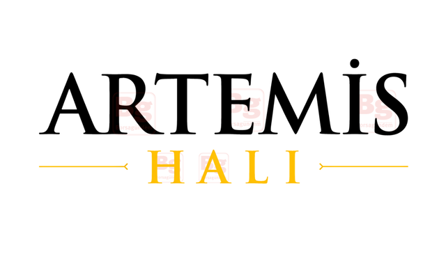 Artemis Halı, ABD’deki müşteri ağını genişletiyor