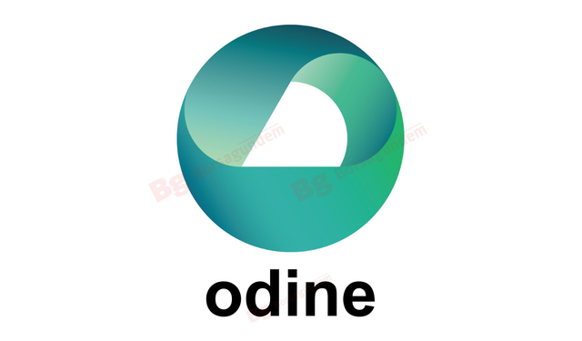 Odine Solutions, Güney Afrika’daki şirket kuruluşunu tamamladı