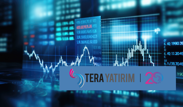 Tera Yatırım'ın en çok alım satım yaptığı hisseler