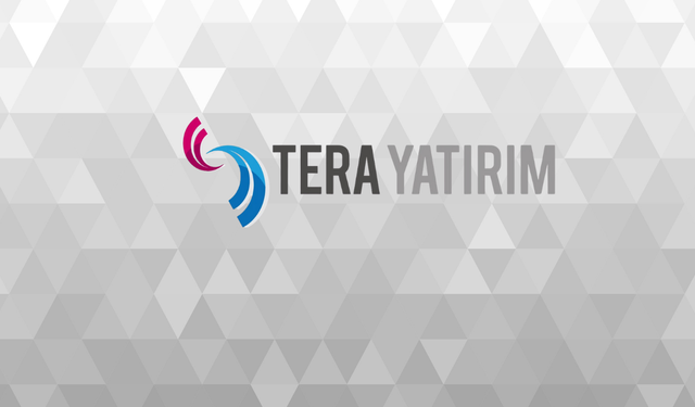 Tera Yatırım'ın en çok alım satım yaptığı hisseler