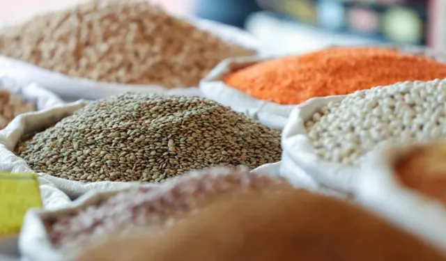 Türkiye'nin hububat ve bakliyat ihracatı 10 milyar doları aştı