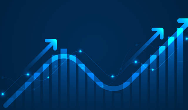 Halka Arz Raporu: Haftalık Dip ve Zirve Fiyatlar