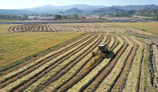 FAO'dan Türkiye'ye 8,1 milyon dolarlık kaynak