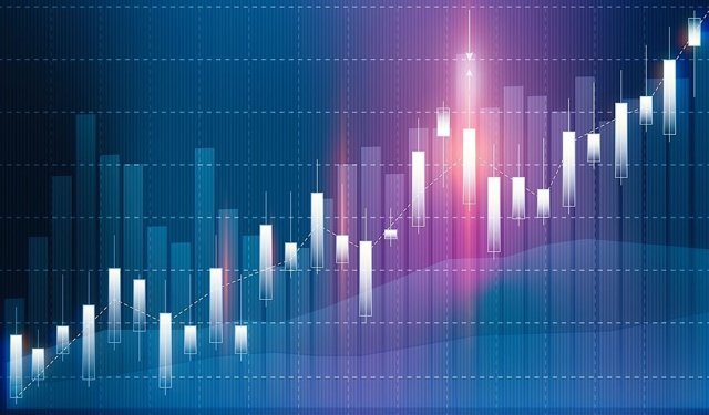 Halka Arz Hisselerinde Haftalık Görünüm: Yükselenler-Düşenler