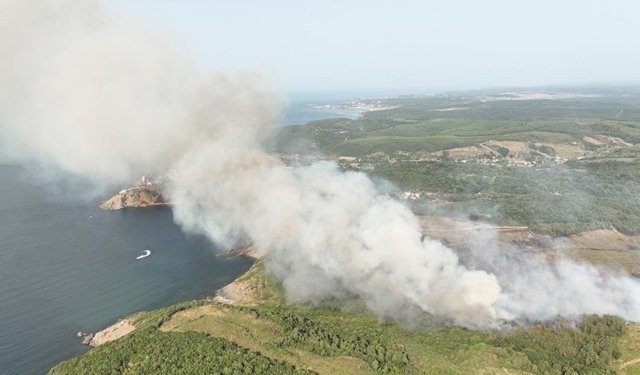 Beykoz'da ormanlık alanda çıkan yangın kontrol altına alınıyor