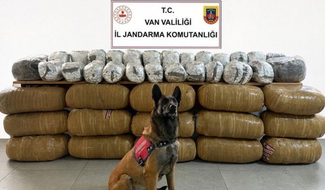 Jandarmanın 2 kentte yaptığı operasyonlarda 471 kilogram yasaklı madde ele geçirildi