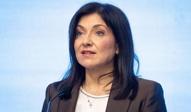Almanya Ekonomi Bakanı Reichy'den Rus gazıyla ilgili Türkiye yorumu!