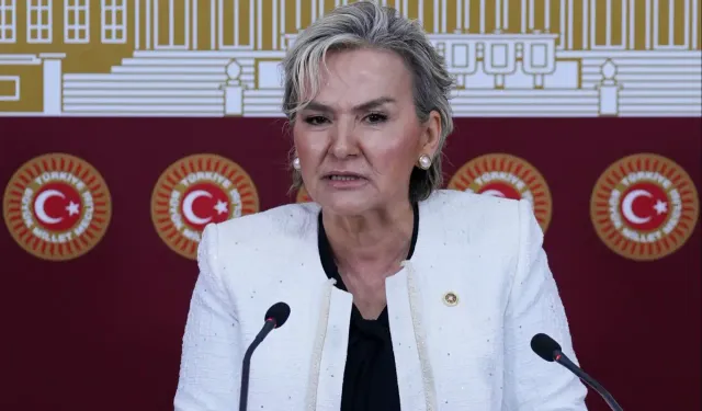Nimet Özdemir, CHP'den istifa etti