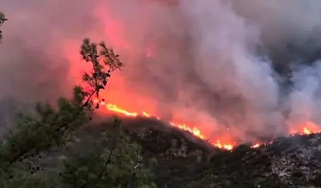 Antalya’nın Kaş ilçesinde çıkan orman yangını kontrol altına alınıyor