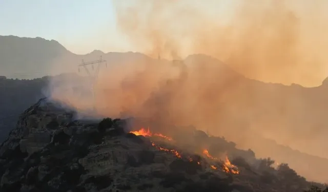 Girit Adası'nda çıkan orman yangınına müdahale ediliyor