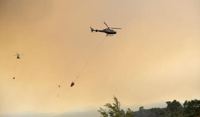 Orman yangınlarıyla mücadele devam ediyor