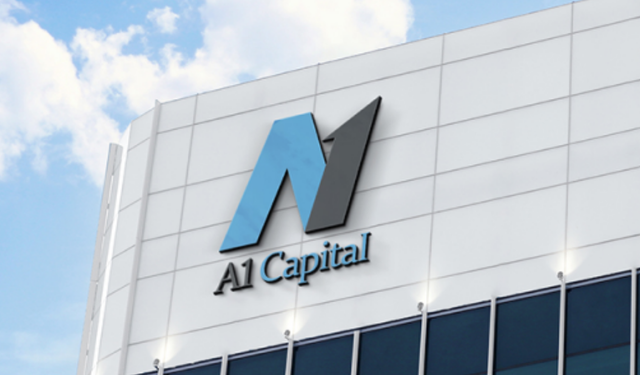 A1 CAPITAL 'in en çok alım satım yaptığı hisseler