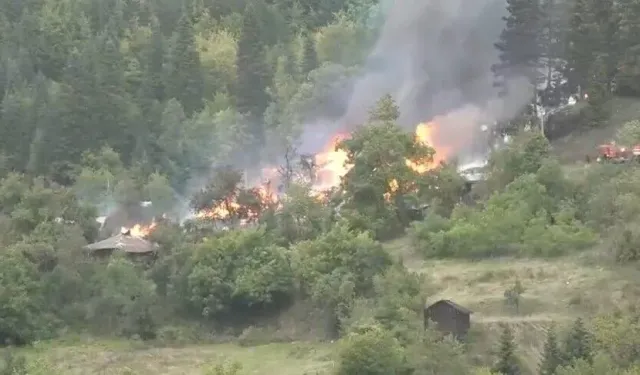 Kastamonu'da çıkan köy yangını kontrol altına alınıyor
