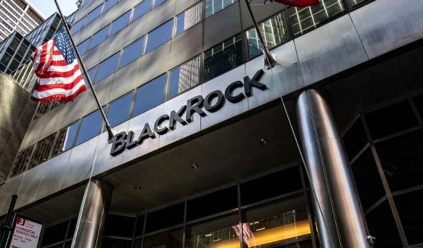 BlackRock, 2025 beklentilerini yayınladı