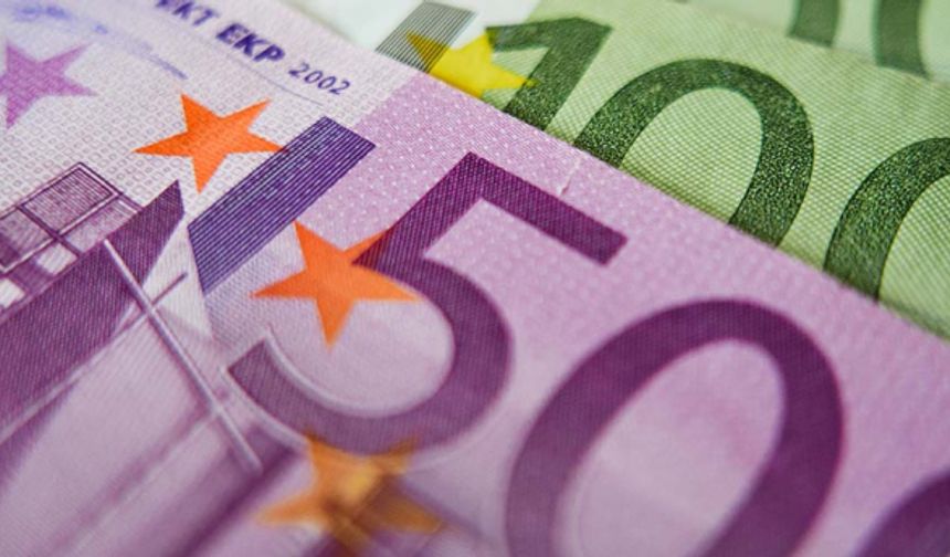 "Euro'nun küresel rolünün güçlenmesi için doğru bir zaman"