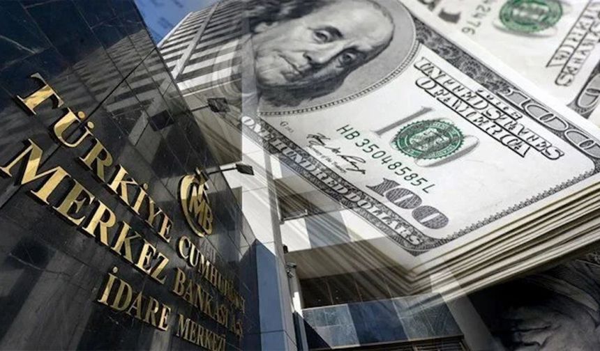 Merkez Bankası'nın Rezerv Varlıkları Arttı