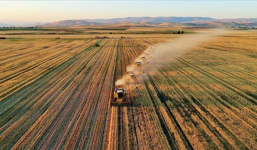 Çiftçilere 67,8 milyon lira tarımsal destek ödemesi yatırılıyor