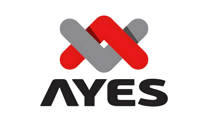 AYES Çelik Ana Pazar'a Geçiş Başvurusu Hazırlığında