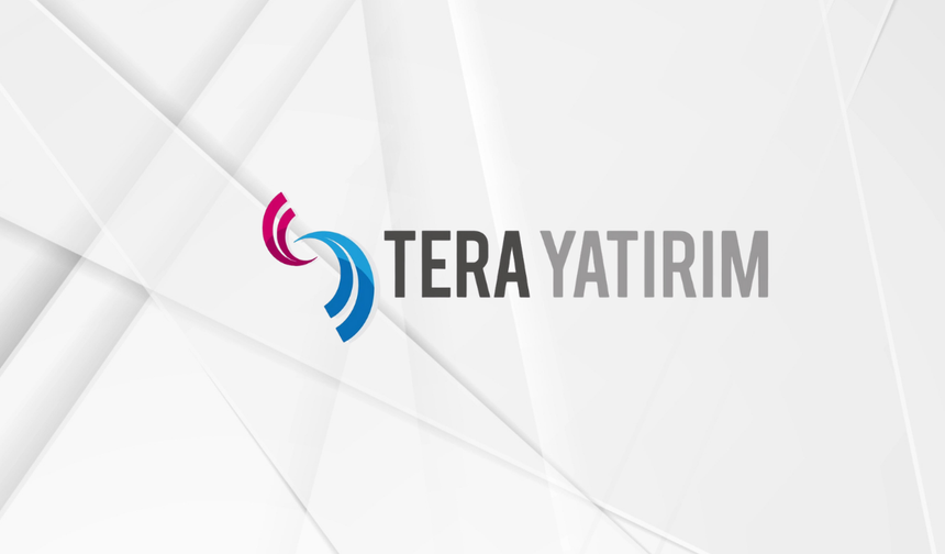 Tera Yatırım'ın en çok alım satım yaptığı hisseler