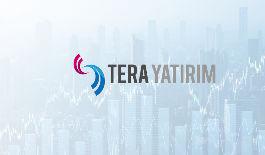 Tera Yatırım'ın en çok alım satım yaptığı hisseler