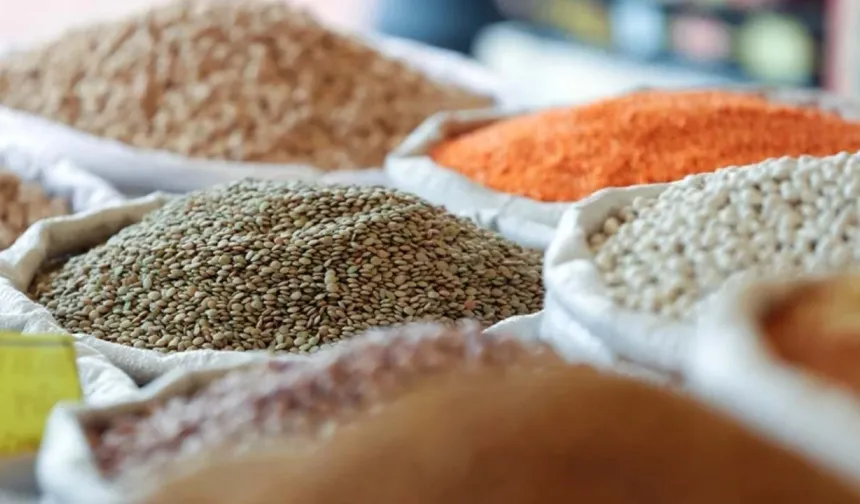 Güneydoğu Anadolu'nun hububat ihracatı 2,9 milyar dolar