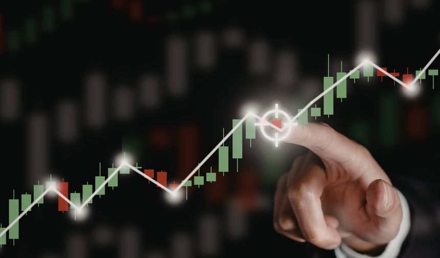 Halka Arzların Haftalık Özeti