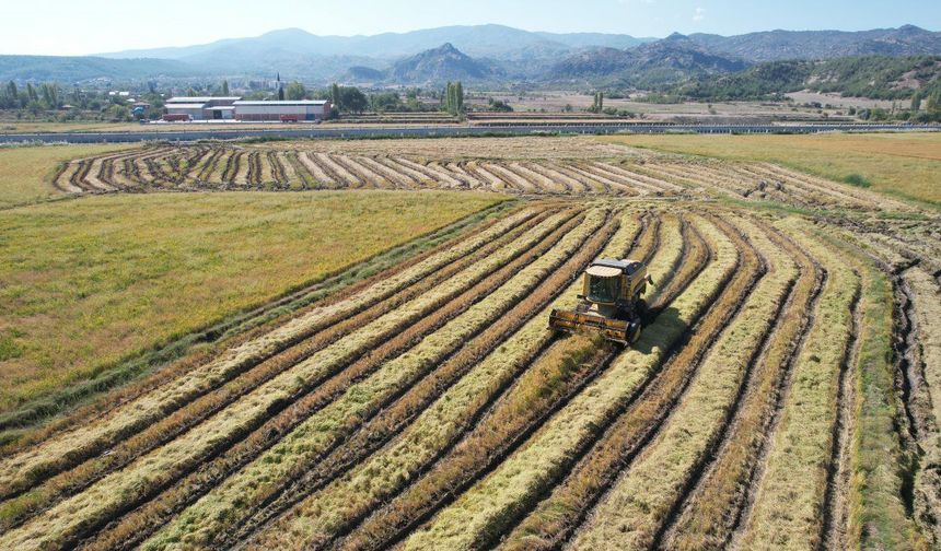 FAO'dan Türkiye'ye 8,1 milyon dolarlık kaynak