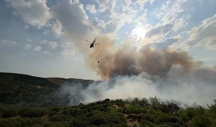 Manisa'da çıkan orman yangınına müdahale ediliyor
